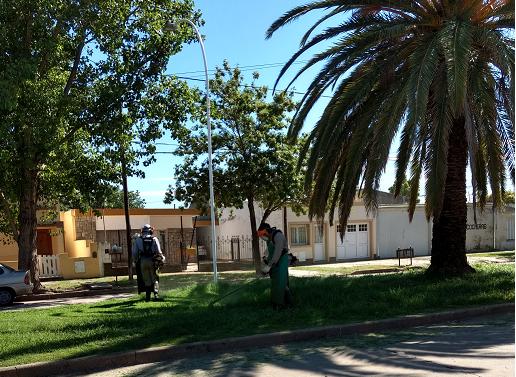 Se iniciaron las tareas de desmalezamiento en los bulevares