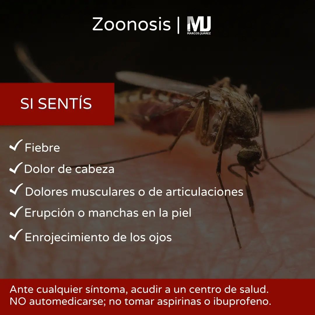 Consejos Para Evitar La Proliferaci N Del Mosquito Aedes Aegypti Red