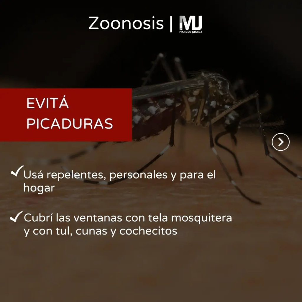 Consejos Para Evitar La Proliferaci N Del Mosquito Aedes Aegypti Red