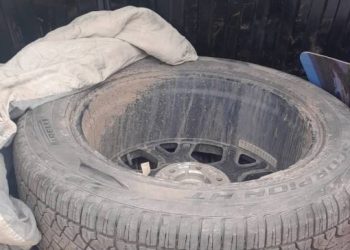 Detuvieron a dos personas por robos en Agroactiva