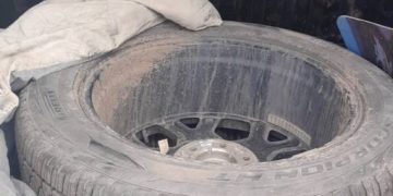 Detuvieron a dos personas por robos en Agroactiva