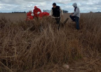 Ráfagas de viento: un herido tras caer de su moto