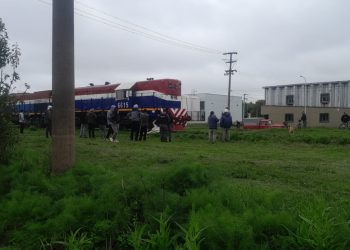 Último momento: una formación de tren atropelló a un equino