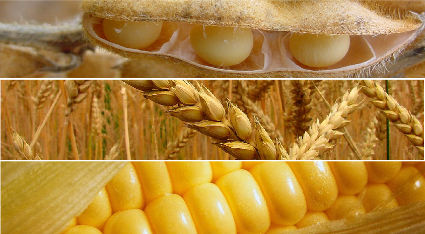 Bolsa de Cereales de Rosario.-22-02.-