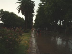 lluvia0204