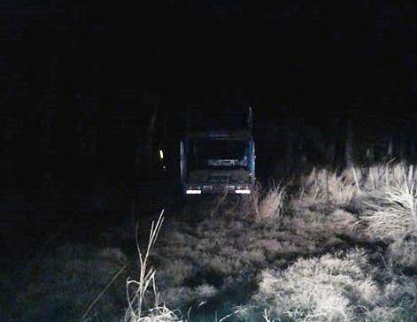 Despistó un camión cuyo conductor intentó esquivar neumático en la ruta e impactó contra arbolado