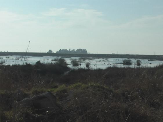 La cava fue donada al Municipio, sin embargo Luis Borghi sigue pagando los impuestos