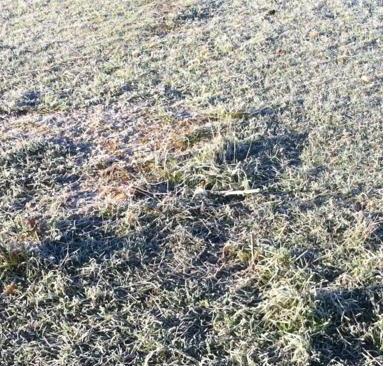 Sorpresiva helada hoy en la Ciudad