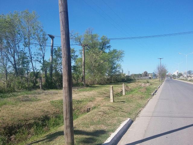 El Municipio compró 26 lotes ubicados sobre Av. Las Colonias