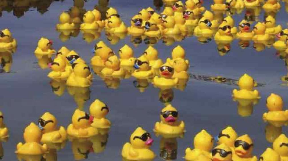 Novedoso proyecto solidario: Carrera patos de goma