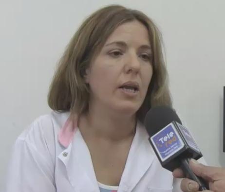 Nuevamente invasión de mosquitos en la Ciudad