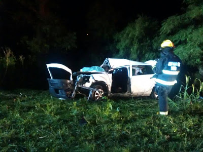 Murieron dos personas de Leones en un accidente en Monte Leña
