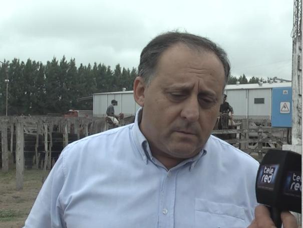 AFA y su primer remate ganadero televisado desde Marcos Juárez por Canal Rural