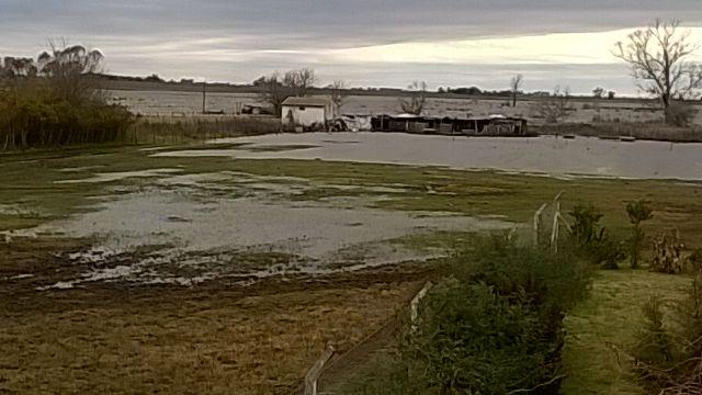 Movilización por la crítica situación hídrica en Arias