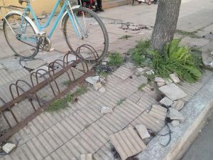 Gustavo Loyola: Hice todas las gestiones correspondientes»