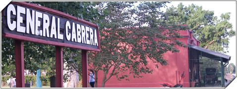 Le sacó el auto a un amigo, ocasionó destrozos en un comercio y terminó chocando contra un árbol