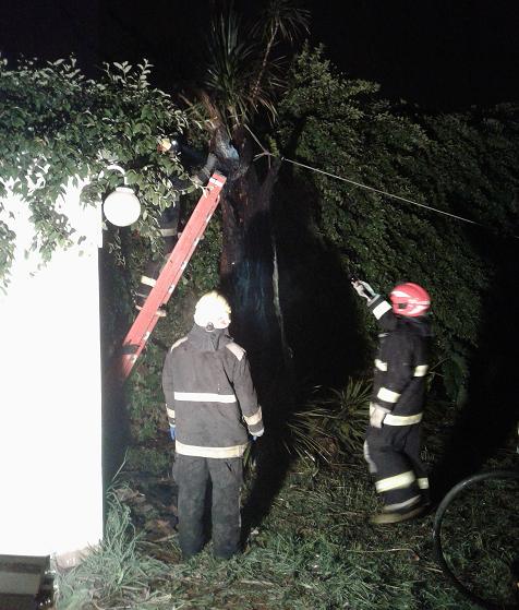 Principio de incendio en una vivienda de calle O´ Higgins al 262