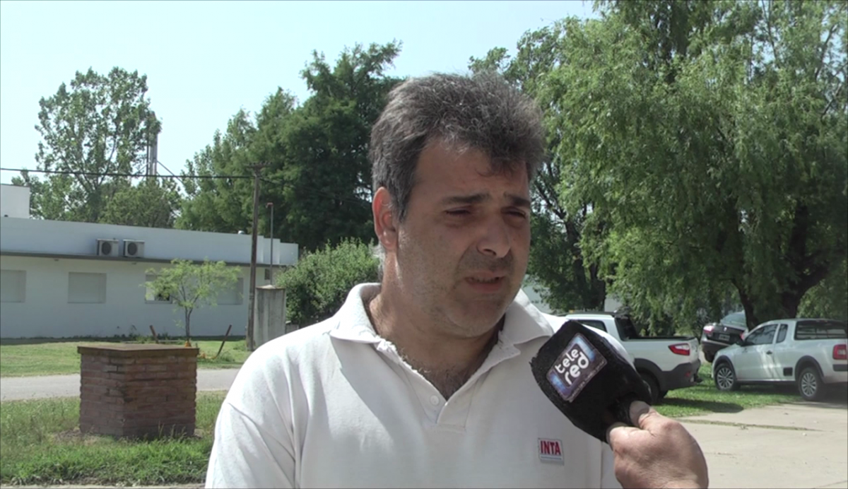 Preocupación en el INTA por la posibilidad de un fuerte recorte de personal