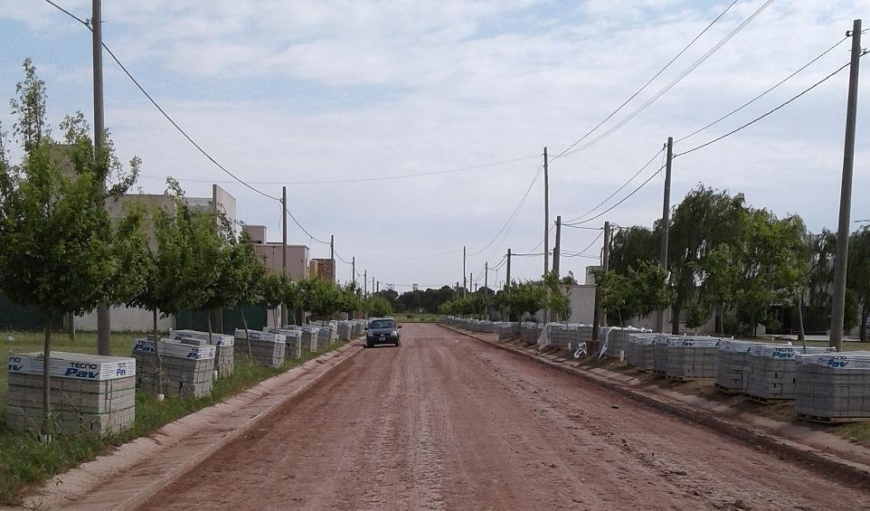 Colocación de adoquines en las calles del barrio Puerto de Palo