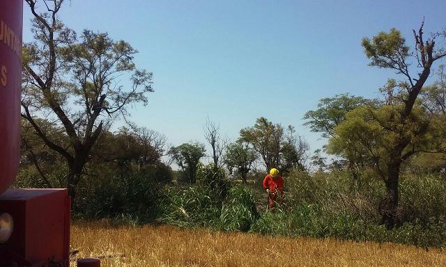 Incendio de pastizales en un monte en zona rural de Leones