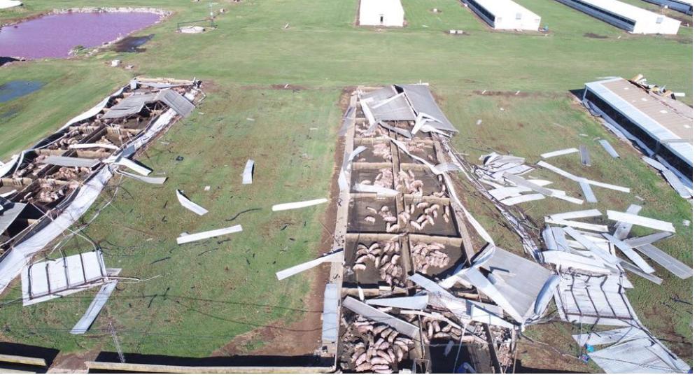 Imágenes que dejó el tornado en General Baldissera y Monte Buey