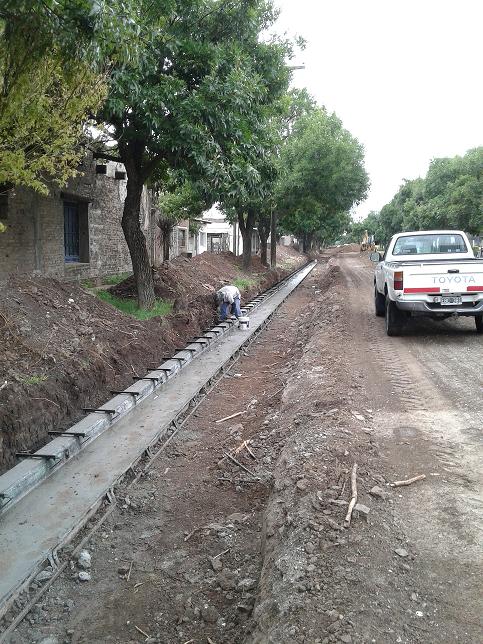 Calle Zeballos: Hoy miércoles se comenzará con el retiro de las ramas que quedaron en la vía pública”