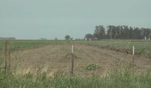 Apertura de traza para el cierre del anillo de la circunvalación