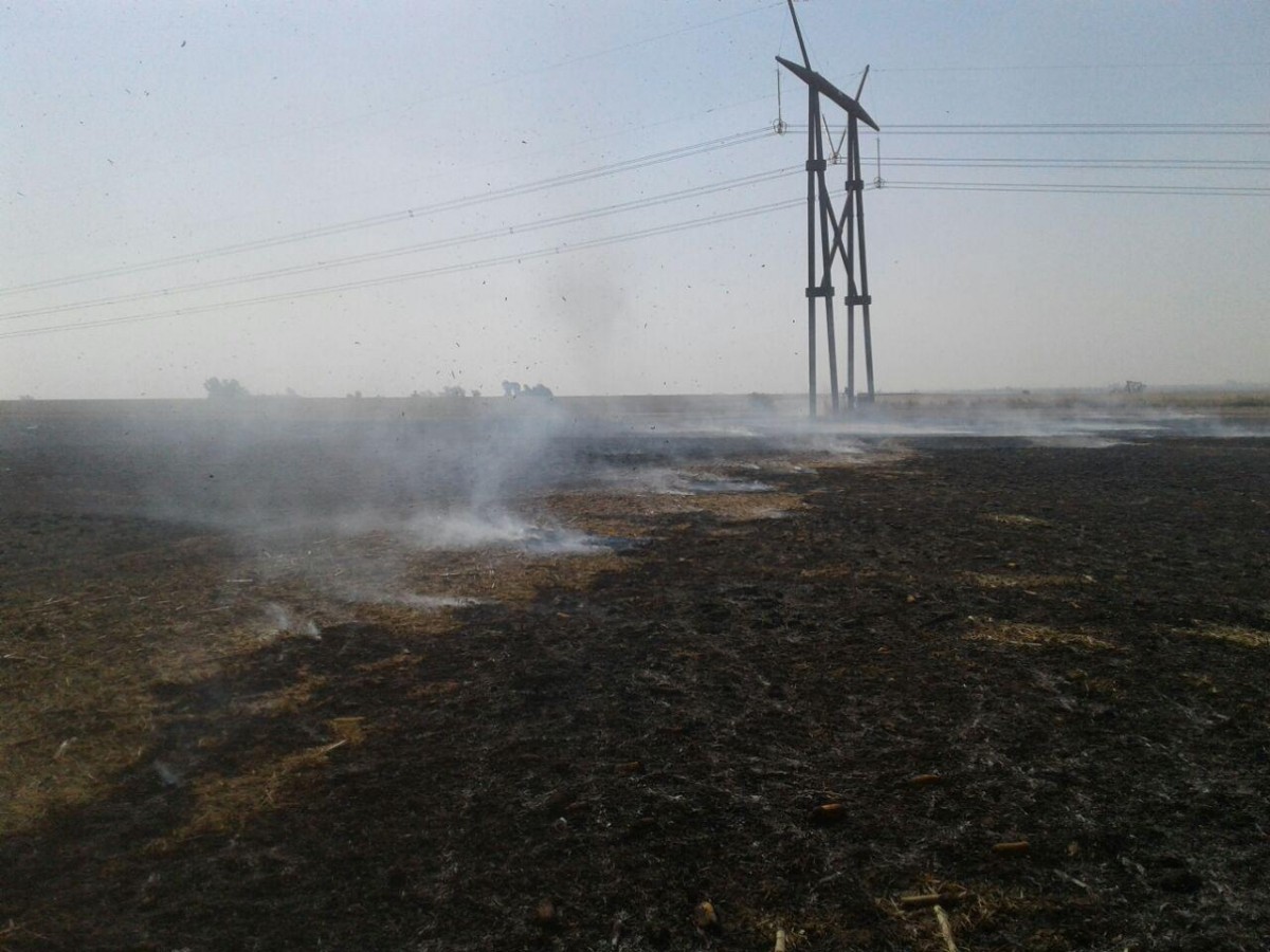 Incendio de un campo propiedad de Peiretti en General Roca