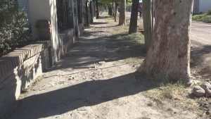 Sin respuesta para el reclamo de la vecina de Villa Argentina por árbol frente a su vivienda