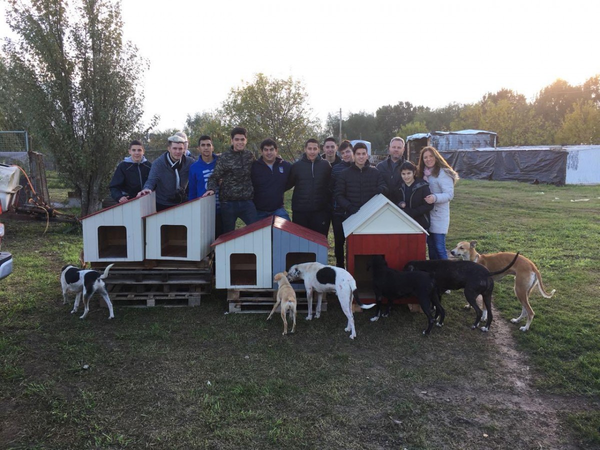 Alumnos del taller de carpinterìa del IPET 51 realizaron cuchas para los perros de la Protectora de Animales