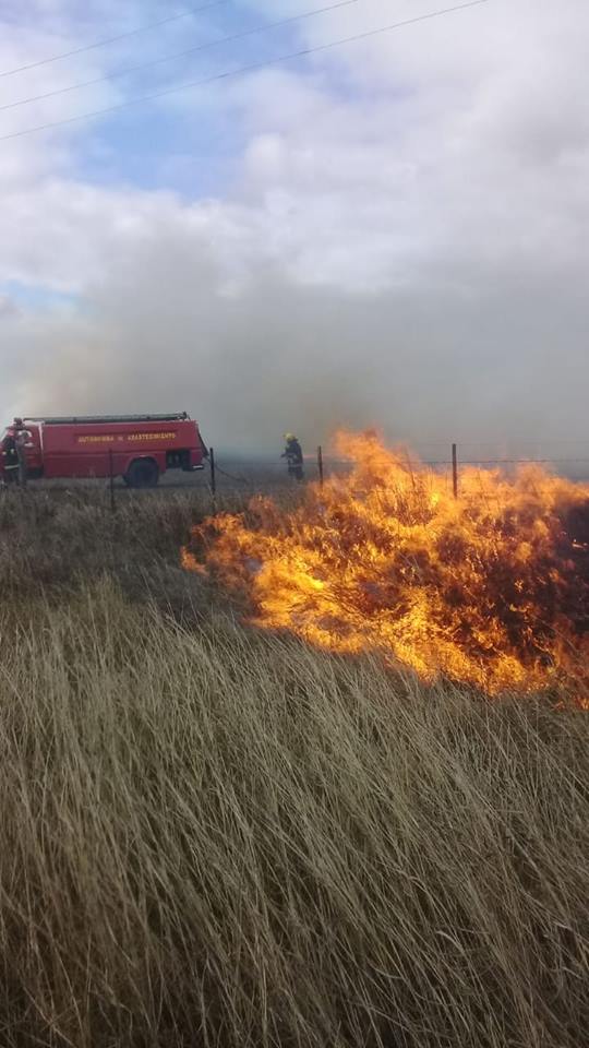 Incendio de campo de magnitud en ruta 12 con la actuación de Bomberos de Marcos Juàrez, Inriville y Leones
