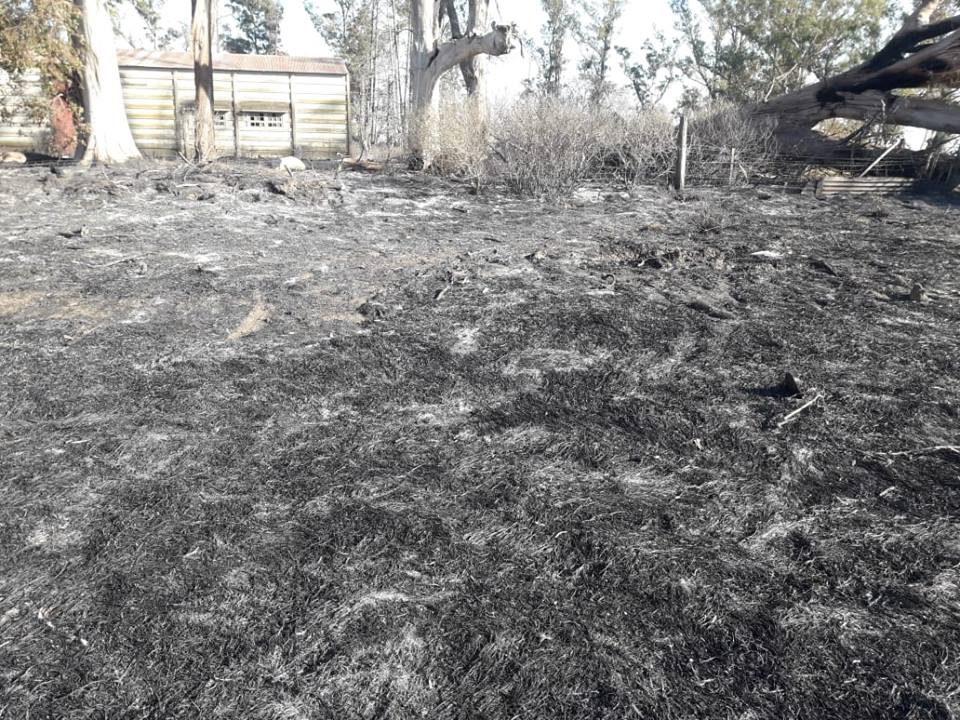 Bomberos de Marcos Juàrez y Saira trabajaron durante cinco horas en un incendio de campo por ruta 12 camino a Saira