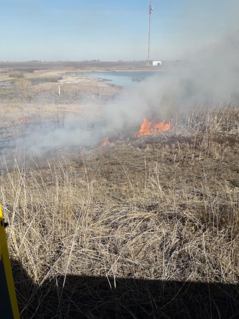 Incendio de pastizales en ruta 9 en Leones