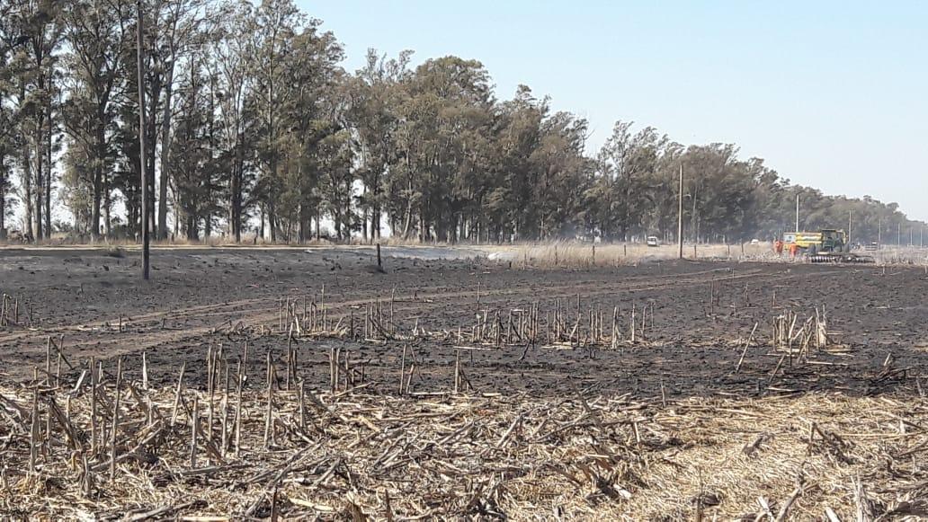 Leones, incendio de banquina de ruta 9 se propagó hacia campo quemando dos hectáreas