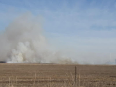 Leones, Importante incendio de pastizales en acceso a autopista en cercanías del mástil