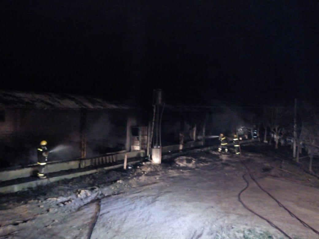 Leones: Incendio en galpón utilizado como paridera de cerdos