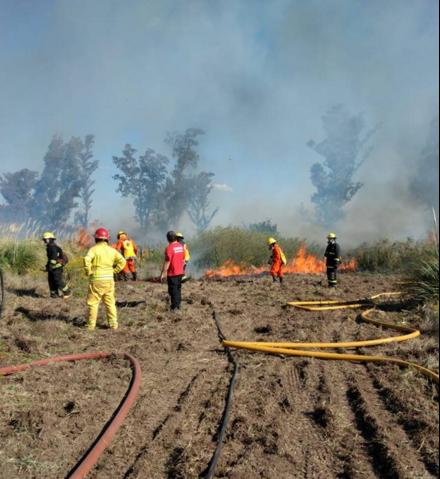 Incendio en zona rural a 20 km. al sudeste de Marcos Juàrez donde trabajaron 20 bomberos de la Ciudad y Los Surgentes