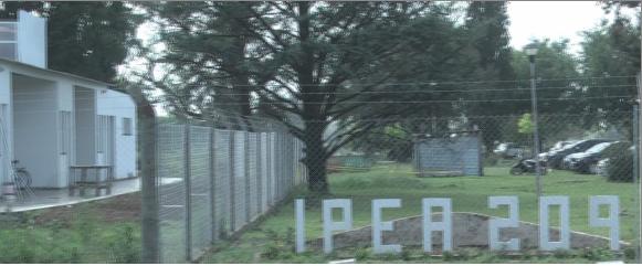 Robo de un novillo del IPEA 209 con un allanamiento en una vivienda y el secuestro de 45 kilos de carne