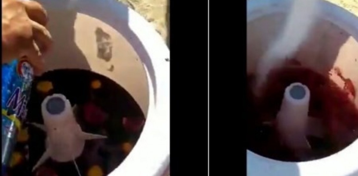 Cordobeses llevaron un lavarropas a la playa para hacer sangría
