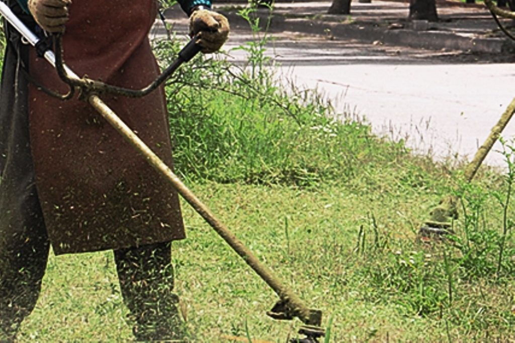 Se iniciaron las tareas de desmalezamiento en los bulevares