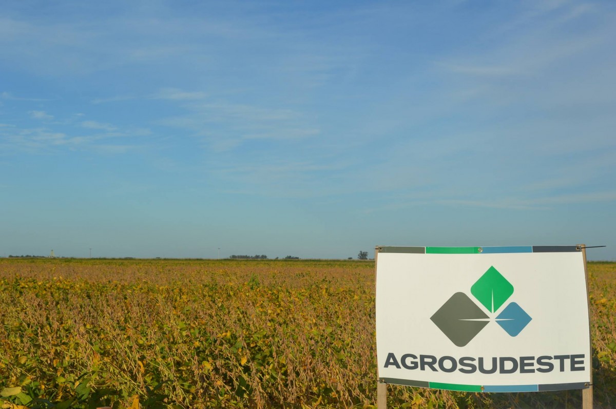 Agrosudeste: El jueves 28 se llevara a cabo la tradicional jornada de campo