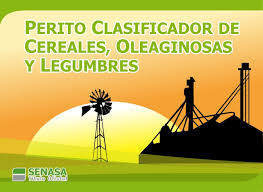 Hoy Jueves 7, arranca el curso de Perito Clasificador de Cereales, Oleaginosas y Legumbres