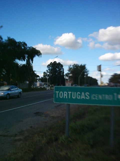 Choque entre un camión y una Trafic en ruta 9 con una persona de Tortugas fallecida