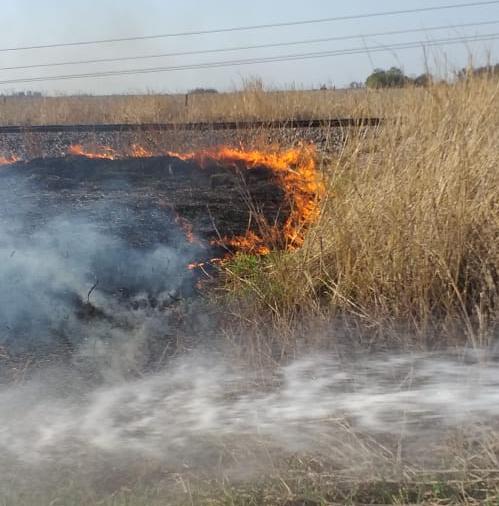 Bomberos Voluntarios de Leones con varias salidas durante el sábado por incendio de pastizales