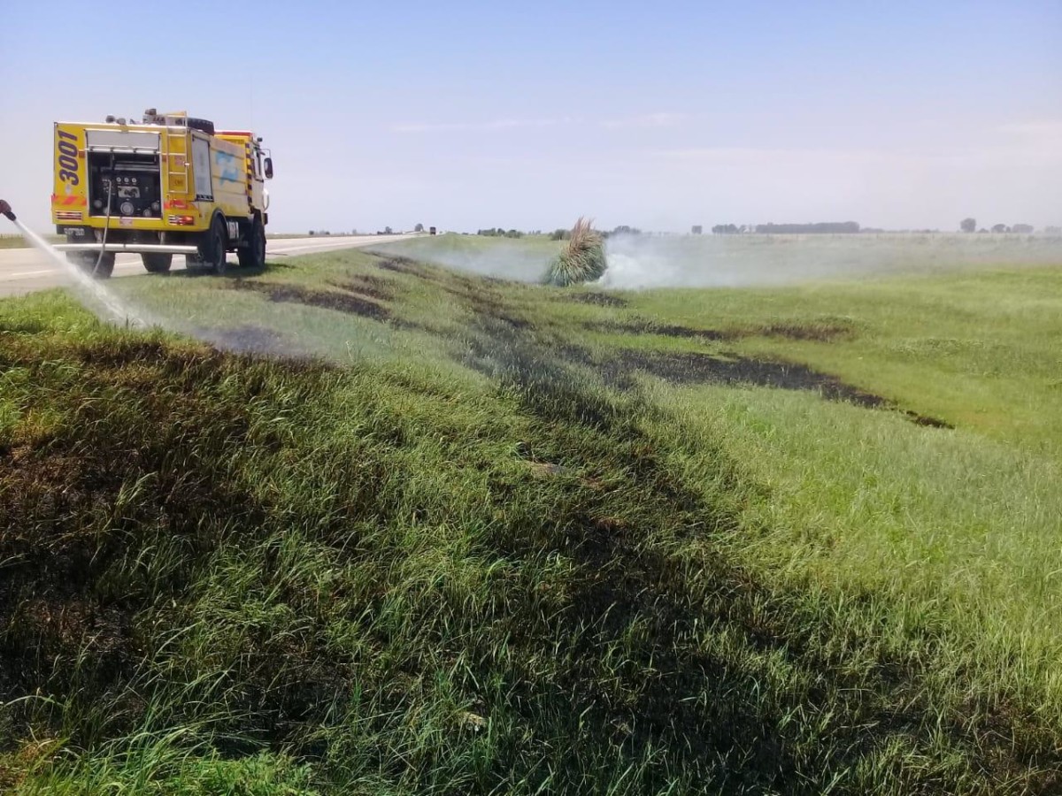 Leones: Incendio de pastizales en banquina de autopista