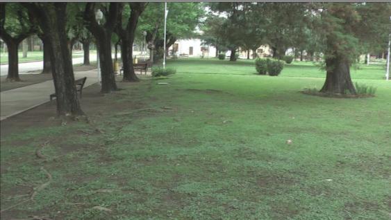 Disturbio entre jóvenes y remiseros en la Plaza Perón