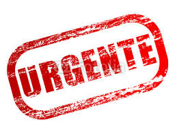 Asamblea del SUOEM en el palacio Municipal