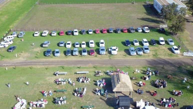 Arteaga le dio vida al primer viñedo en el territorio santafesino