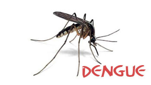 No nos olvidemos del DENGUE