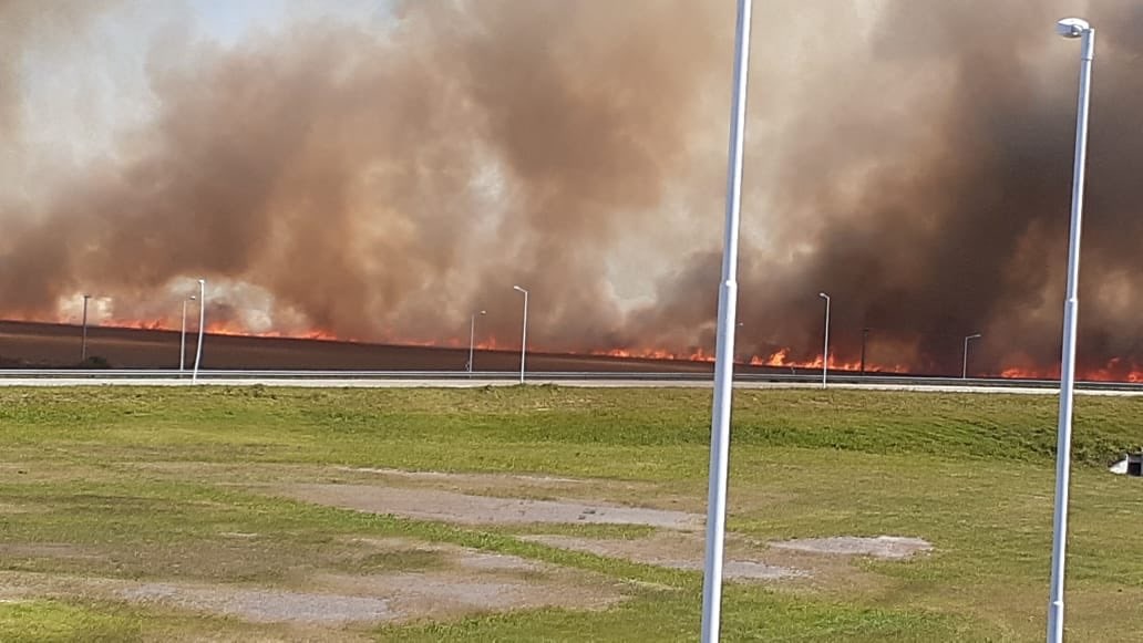 30 hectáreas de soja fueron arrasadas por el fuego en General Roca.-